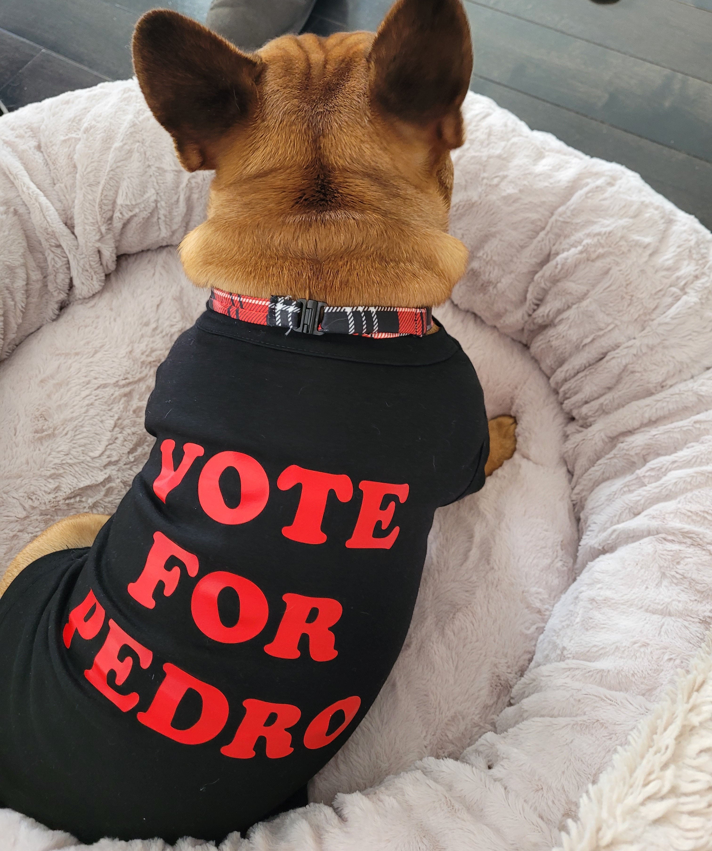 T Shirt personnalis pour chien et chat