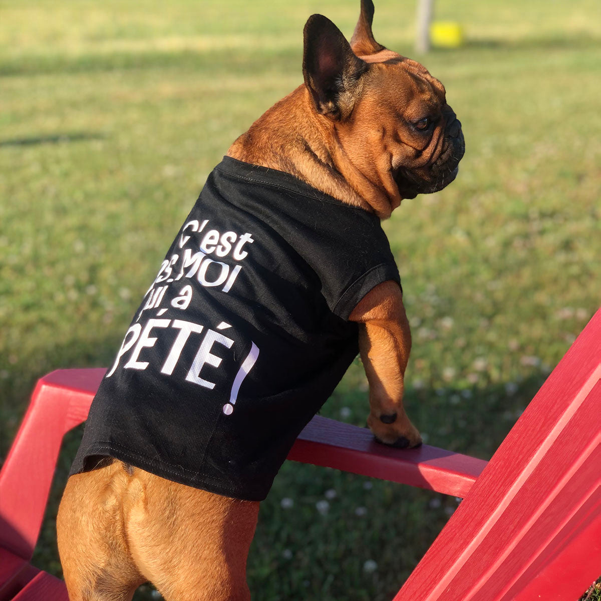 Créer un t shirt pour outlet chien