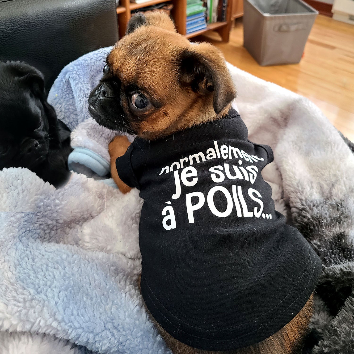 Créer un t shirt best sale pour chien