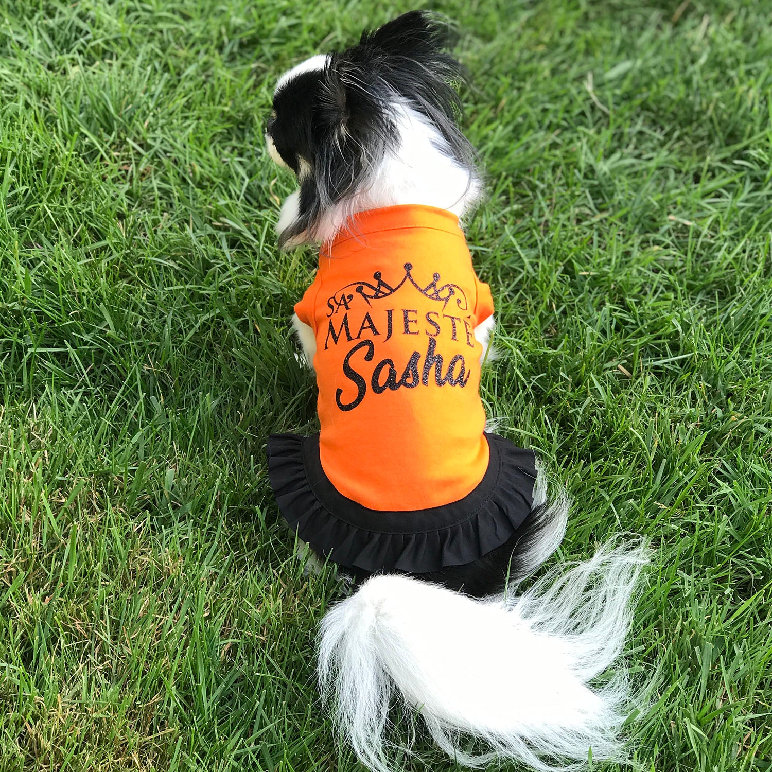 T shirt pour chien personnalisé hot sale