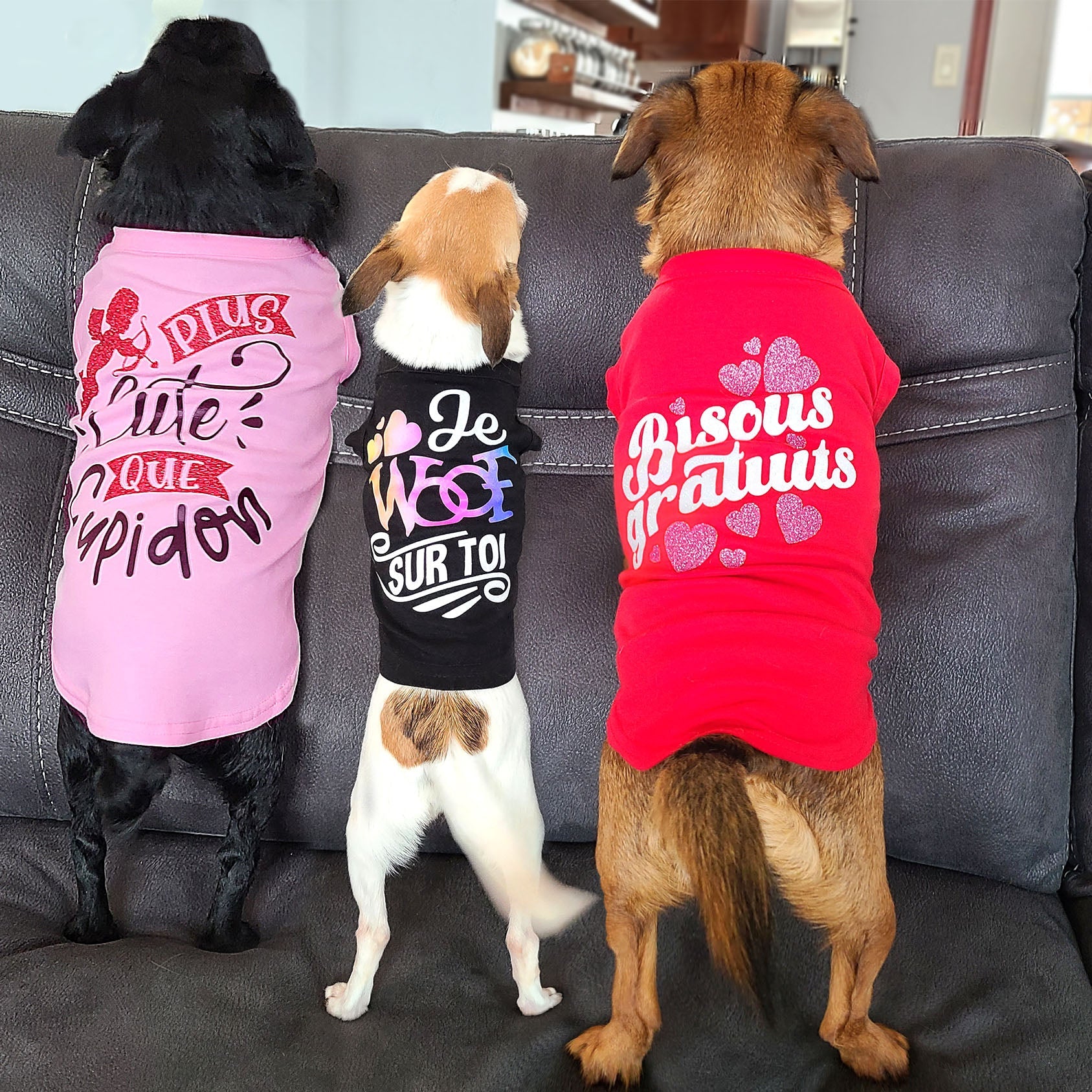 Faire un tee shirt pour fashion chien